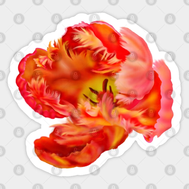 Flaming Orange & Yellow Parrot Tulip Digital Art Sticker by H. R. Sinclair